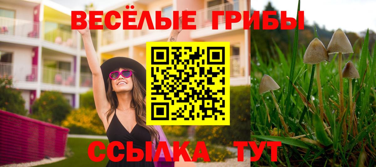 Псилоцибиновые грибы прущие грибы Новотроицк